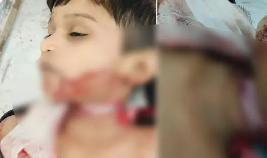 HC ने रायपुर में चाइनीज मांझे से मौत मामले में CS को जारी किया नोटिस HC ने रायपुर में चाइनीज मांझे से मौत मामले में CS को जारी किया नोटिस