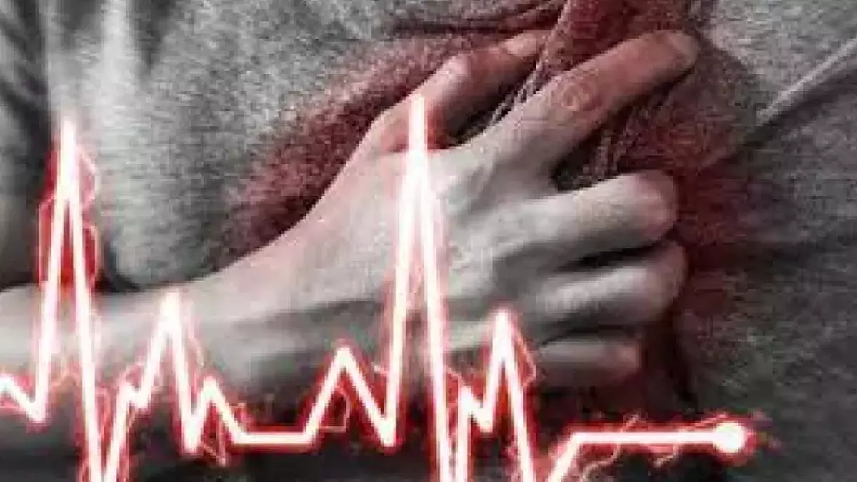 वसायुक्त मांसपेशियां BMI की परवाह किए बिना हृदय रोग का जोखिम बढ़ाती हैं- अध्ययन वसायुक्त मांसपेशियां BMI की परवाह किए बिना हृदय रोग का जोखिम बढ़ाती हैं- अध्ययन