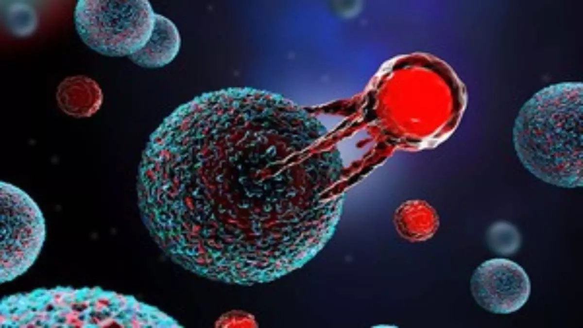 इम्यूनील ने भारत में नॉन-हॉजकिन लिंफोमा के लिए किफायती CAR T-cell थेरेपी शुरू की इम्यूनील ने भारत में नॉन-हॉजकिन लिंफोमा के लिए किफायती CAR T-cell थेरेपी शुरू की