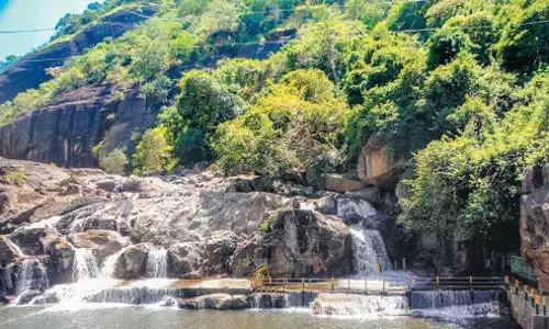 Tenkasi में भारी वर्षा मणिमुथर झरने में स्नान पर प्रतिबंध