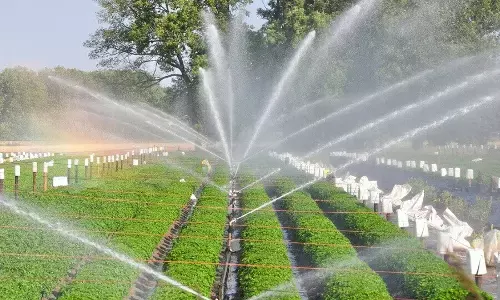 J&K: कारगिल में सूखे से निपटने में सूक्ष्म सिंचाई परियोजनाएं मददगार होंगी
