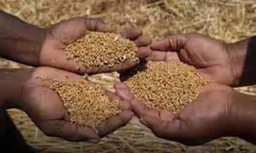 FCIK ने बारामूला में केकेजी टेंडर में ‘गलत व्यवहार’ जांच की मांग की FCIK ने बारामूला में केकेजी टेंडर में ‘गलत व्यवहार’ जांच की मांग की