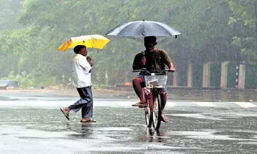 Tamil Nadu: तिरुनेलवेली में 15 सेमी बारिश, तमिलनाडु में भारी बारिश की चेतावनी नहीं