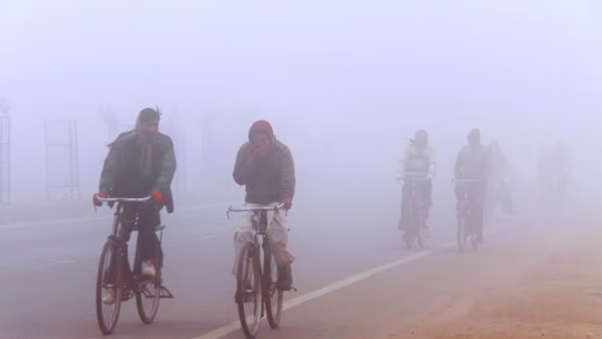 Weather: प्रदेश के 14 से ज्यादा जिलों में सुबह से छाया कोहरा रात में बढ़ोतरी ठंड