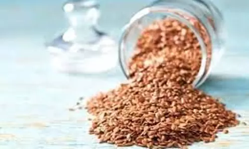 Homemade Face Pack:  शहद और अलसी से बने एंटी-एजिंग फेस पैक से पाएं चमकदार और जवां त्वचा