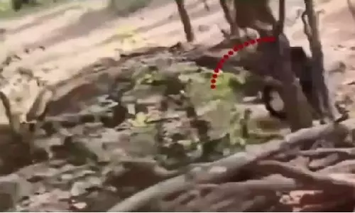 Bear के हमले में पिता-पुत्र की मौत, वनरक्षक की हालत गंभीर