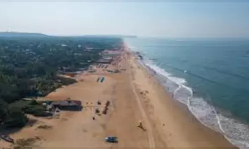Calangute पुलिस ने अवैध गतिविधियों पर कार्रवाई करते हुए दलालों सहित 24 लोगों को गिरफ्तार किया