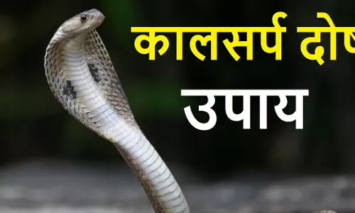 Kaal Sarp Dosh से छुटकारा पाने के लिए मौनी अमावस्या पर करें ये आसान उपाय Kaal Sarp Dosh से छुटकारा पाने के लिए मौनी अमावस्या पर करें ये आसान उपाय