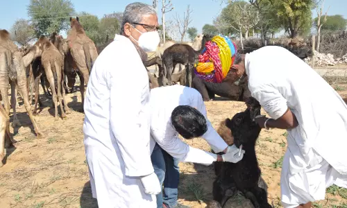 Jaipur: राज्य सरकार के एक वर्ष पूरा होने के उपलक्ष्य में राज्य में आयोजित