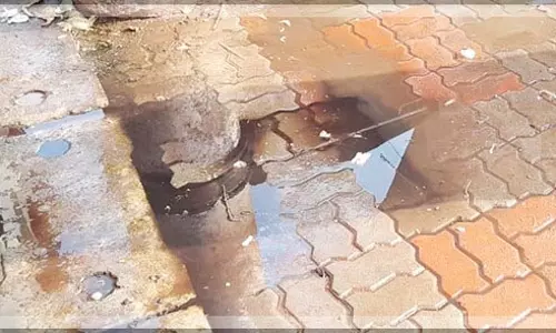 खतरनाक स्थितियों के बीच Mapusa मछली बाजार में सफाई के लिए तत्काल आह्वान