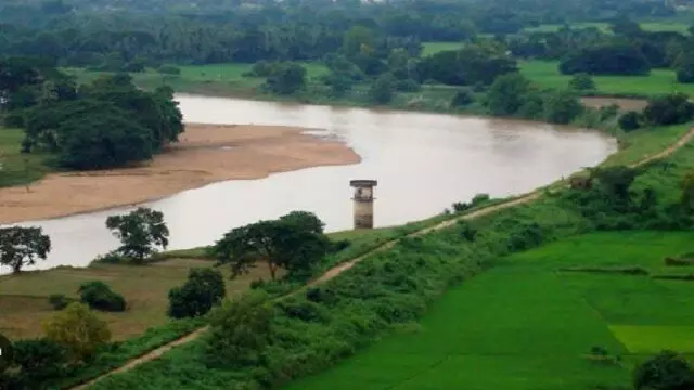 Puri कलेक्टर ने कहा, दया नदी का पानी मानव उपयोग के लिए अनुपयुक्त