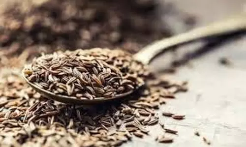 Health:  भुना जीरा और काला नमक खाने से शरीर को मिलते हैं गजब के फायदे