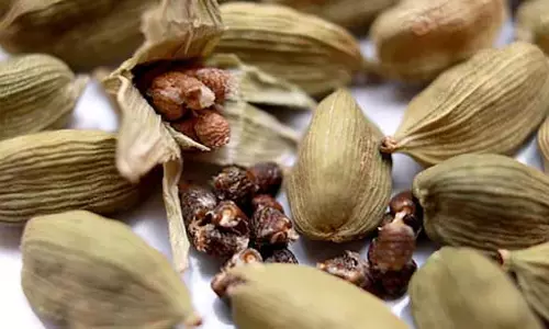 Green Cardamom: रात को सोने से पहले बस इस तरह खाएं 2 हरी इलायची, फायदे जानकर आप भी रोज खाना शुरू कर देंगे Green Cardamom: रात को सोने से पहले बस इस तरह खाएं 2 हरी इलायची, फायदे जानकर आप भी रोज खाना शुरू कर देंगे