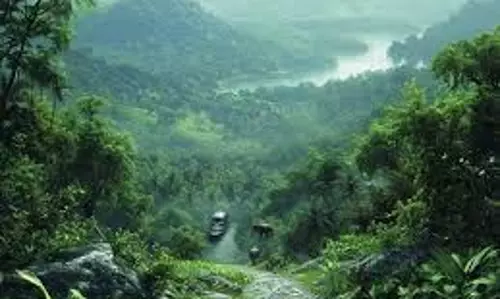 Lifestyle:  बेहद खूबसूरत है केरल का ये हिल स्टेशन, एक बार जाएंगे तो बार-बार यहां आने का मन करेगा