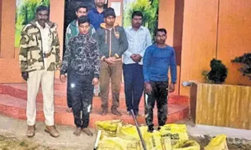 Bhitarkanika में मैंग्रोव जड़ों की तस्करी के आरोप में पांच लोग गिरफ्तार