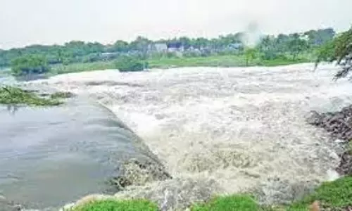 जल उपयोगकर्ताओं-अयाकटदारों ने फसलों को बचाने के लिए कृष्णा जल छोड़ने का KRMB से आग्रह किया