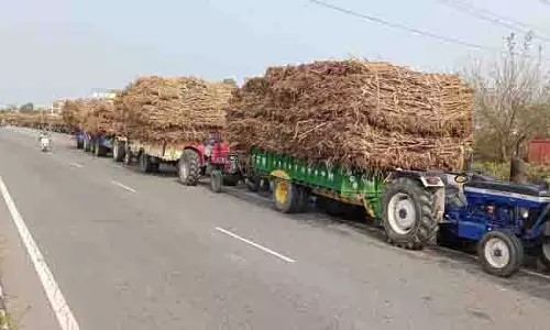 गन्ने की किस्म को लेकर किसान और Phagwara मिल प्रबंधन आमने-सामने गन्ने की किस्म को लेकर किसान और Phagwara मिल प्रबंधन आमने-सामने