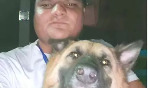 कुत्ते का दशकर्म किया, मौत के बाद से सदमे में मालिक कुत्ते का दशकर्म किया, मौत के बाद से सदमे में मालिक