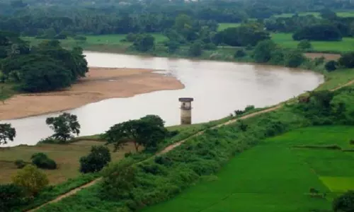 Puri कलेक्टर ने कहा, दया नदी का पानी मानव उपयोग के लिए अनुपयुक्त