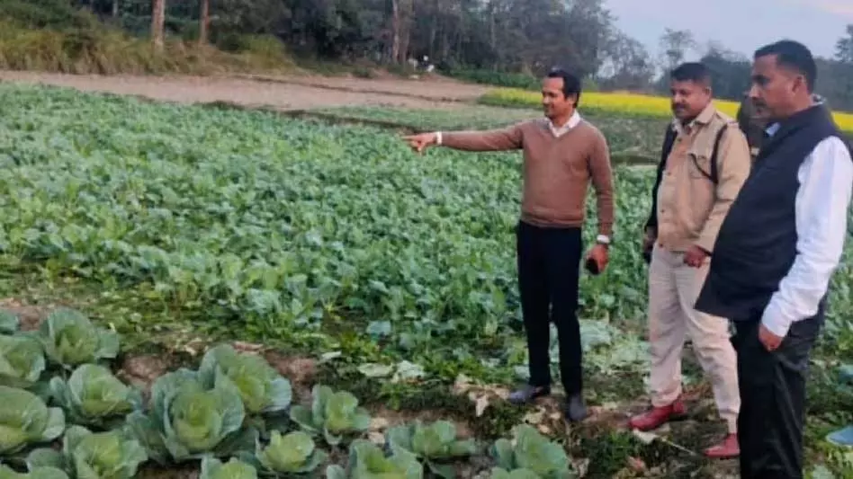 Assam : बारपेटा की जिला जेल मिश्रित फसल अभियान के साथ कृषि केंद्र बनी Assam : बारपेटा की जिला जेल मिश्रित फसल अभियान के साथ कृषि केंद्र बनी