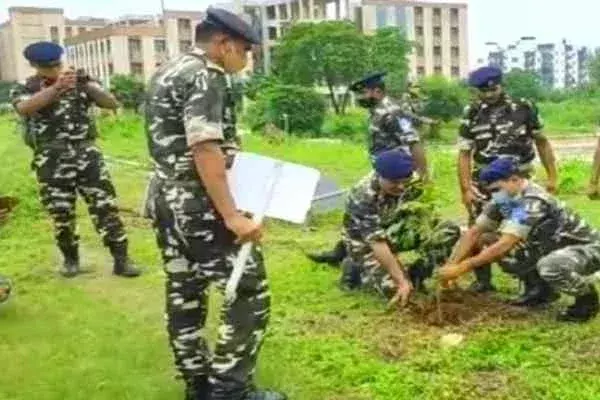 Gumla: टांगरडीह में एसएसबी के जवानों ने किया पौधरोपण