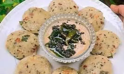 Vegetable Idli: वेजिटेबल इडली की ये रेसिपी ट्राई करें