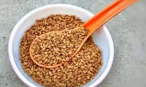 Health: जानें कैसे डायबिटीज को नियंत्रित करने में मेथी के बीज हैं बेहद फायदेमंद Health: जानें कैसे डायबिटीज को नियंत्रित करने में मेथी के बीज हैं बेहद फायदेमंद