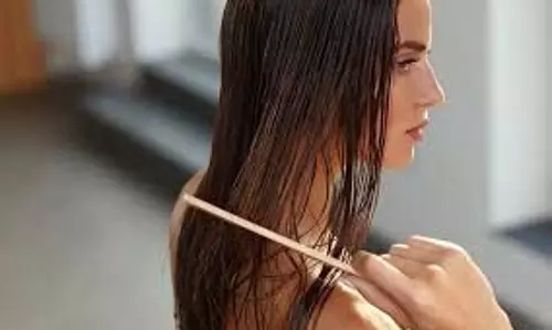Hair Care: बालों के टूटने  से पाना है छुटकारा तो इस्तेमाल करें ये तेल, मिलेंगे लंबे और घने बाल