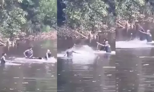 नदी में कूदता किंग कोबरा: वन रक्षक दल भी कूद पड़ा नदी में कूदता किंग कोबरा: वन रक्षक दल भी कूद पड़ा
