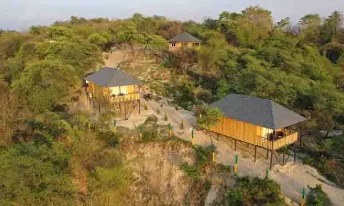 हरित यात्रा परियोजनाएं शुरू करने के लिए Tourism board panel की मंजूरी जरूरी