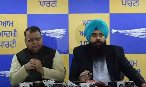 प्रवेश वर्मा की टिप्पणी पंजाबियों के प्रति भाजपा की मानसिकता को दर्शाती: AAP
