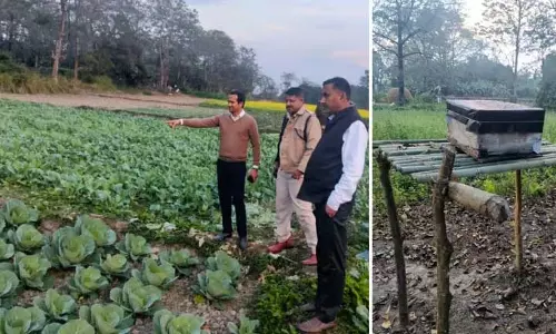 Assam की बारपेटा जेल में कृषि कार्य, फसल उगाकर उम्मीद जगाई जा रही