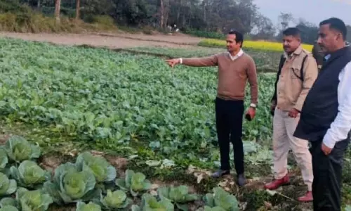 Assam : बारपेटा की जिला जेल मिश्रित फसल अभियान के साथ कृषि केंद्र बनी