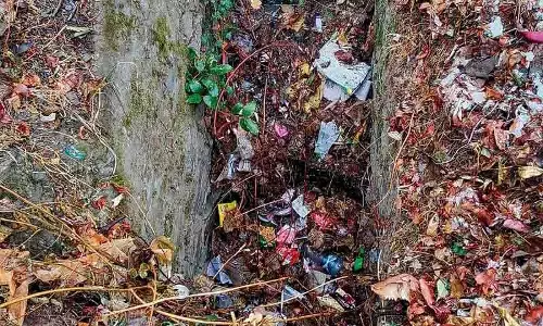 Himachal: कचरे के जमाव के कारण शहर की नालियाँ खतरे में Himachal: कचरे के जमाव के कारण शहर की नालियाँ खतरे में