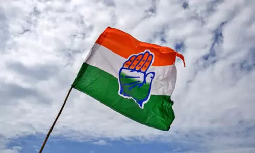 छत्तीसगढ़ में निकाय-पंचायत चुनाव, इन नेताओं ने बढ़ाई कांग्रेस की टेंशन