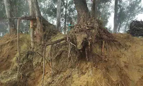 सिंचाई विभाग द्वारा वनों को पहुंचाए गए नुकसान के खिलाफ PAC ने NGT का दरवाजा खटखटाया सिंचाई विभाग द्वारा वनों को पहुंचाए गए नुकसान के खिलाफ PAC ने NGT का दरवाजा खटखटाया