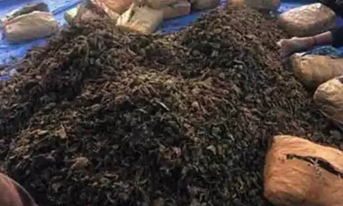 Hyderabad में गांजा बेचने के आरोप में दो प्रवासी मजदूर गिरफ्तार Hyderabad में गांजा बेचने के आरोप में दो प्रवासी मजदूर गिरफ्तार