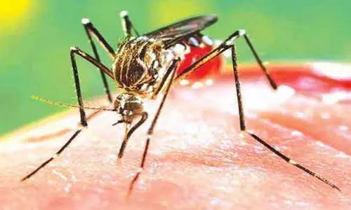 Scientists ने जलवायु परिवर्तन को डेंगू प्रकोप से जोड़ा, पूर्व चेतावनी प्रणाली विकसित की Scientists ने जलवायु परिवर्तन को डेंगू प्रकोप से जोड़ा, पूर्व चेतावनी प्रणाली विकसित की
