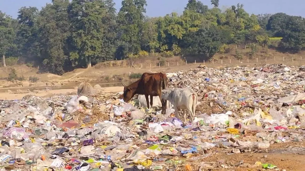 कचरे के डिस्पोज में लापरवाही, बाईपास रोड तक आ रही बदबू