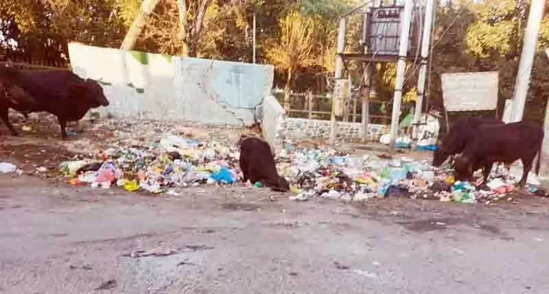 स्टाफ की कमी से Phagwara MC का काम प्रभावित