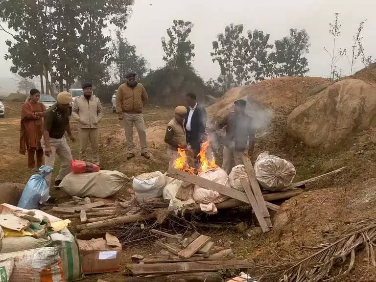 Assam : मोरीगांव में भारी मात्रा में नशीले पदार्थ नष्ट, करोड़ों की नशीले पदार्थ आग के हवाले