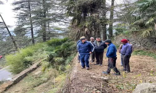 Himachal: एमसी ऐतिहासिक कनलॉग कब्रिस्तान का पुनरुद्धार करने की योजना बना रहा
