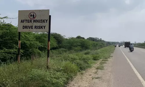 Tamil Nadu: तंजावुर-पुदुक्कोट्टई राजमार्ग पर आकर्षक बिलबोर्ड