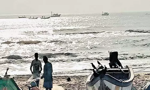 Tamil Nadu: चेन्नई में ओलिव रिडले की मौत के बीच ट्रॉलर देखे गए Tamil Nadu: चेन्नई में ओलिव रिडले की मौत के बीच ट्रॉलर देखे गए
