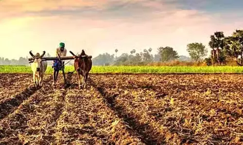 Odisha : कृषि को प्राथमिकता