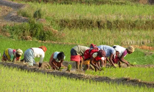 Odisha किसानों को जलवायु परिवर्तन के अनुकूल बनाने के लिए प्रशिक्षण देगा