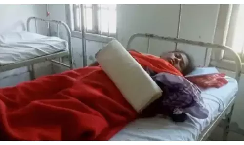 Assam : डिब्रूगढ़ जिले में जंबो हमले में सात महिला चाय बागान श्रमिक घायल