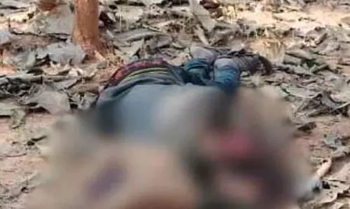 सागौन बाड़ी में मिली लाश, हत्या कर ठिकाना लगाने की आशंका