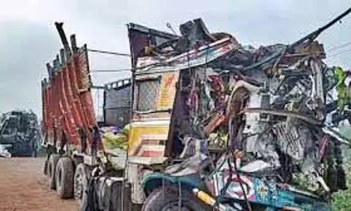 ट्रक के घाटी में गिरने से आठ लोगों की मौत, दस घायल