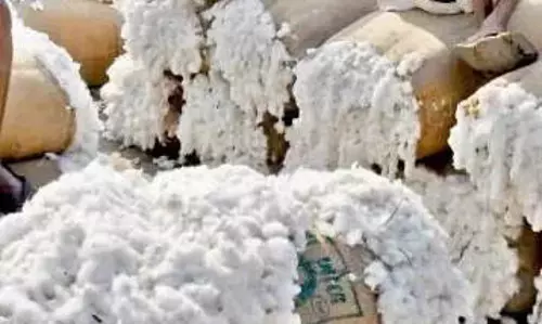 AP: अदोनी में आग लगने से 8.80 करोड़ रुपये का कपास नष्ट हो गया AP: अदोनी में आग लगने से 8.80 करोड़ रुपये का कपास नष्ट हो गया